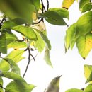 현대산업아파트 이미지