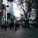 간송미술문화재단 네이버블로그