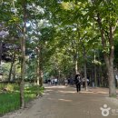 대구수목원 이미지