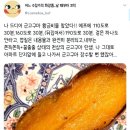 폰트 질문합니다 이미지