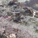 광양농원 이미지