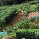 김유자농장 이미지