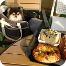 경철 | 화성 대형카페 이색적이고 맛있는 한옥카페 혜경궁베이커리