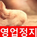 영남행정사 이미지