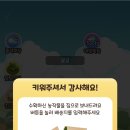 대세농장 이미지