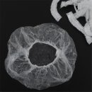 유유헤어 이미지