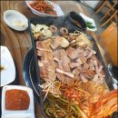 꿀통돼지
