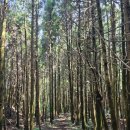 제주일상 | 샛별샘의 일상) 2025 제주 발달장애 자폐스펙트럼 국제심포지엄 참가후기 (3)