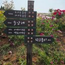 대구여행자클럽 고창 라벤더축제 당일여행 후기｜청농원·고창읍성·선운사 코스
