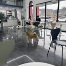 리츠펫 선물 이미지