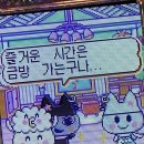 이정성 | [일상] 뭔가 할듯한 해
