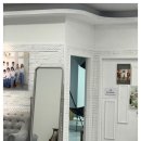 숲속에 아침 이미지