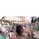 산심농장 이미지