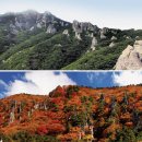 한라산천연보호구역 이미지