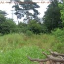 길직2리 마을회관 이미지