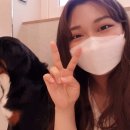 엔터테인멍트 이미지