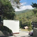 평창 휘게포레스트 추석캠 후기 A존 8번 A8 사이트 근처 로컬 막걸리 및 맛집추천