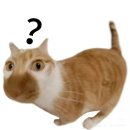 양지약국 | 내가 아이돌 굿즈를 위해 이렇게까지 해야 될까?(쿠팡 양지 4센터 오전 출고 후기)