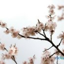 조우현 이미지