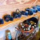 보고싶다원두 이미지