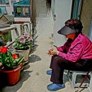 [뉴스 경남 - 이기영 작가의 디카시 한 편] 정점심/ 일기장 이미지