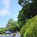 황송게이트볼장 이미지