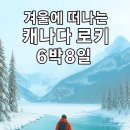 돌고래여행사(주) Daum카페
