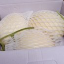 준희네농장 이미지