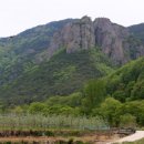용연공원(도로변) 네이버블로그