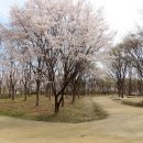 나무고아원 이미지