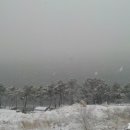 맑고 향기롭게 이미지