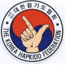 대한합기도 이미지