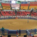 소싸움경기장 이미지