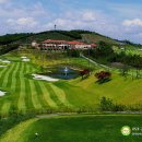 풍일로(일직면) 이미지