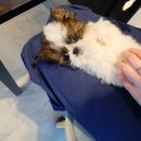 베테랑P&K 이미지