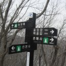 감나무식당 이미지