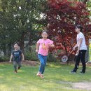 숲속에 안뜰 이미지