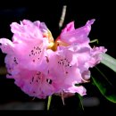 서산스포츠댄스학원 이미지