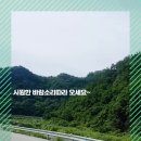 작은정원해피펜션 이미지