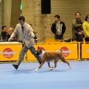 프라이드 켄넬 이미지