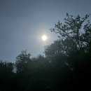 냉기 방지 부직포 보온농사 끝 이미지