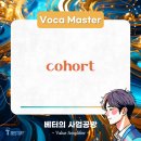 a cohort or individual 이미지
