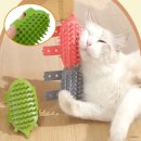 그루밍조이 이미지