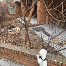 서울준동물병원 이미지