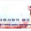 리히트:빛 이미지
