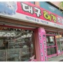 대구애견조류원 이미지