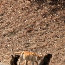 동대구로 | 포항 피팅샵 벤투스 샤프트 피팅받고 슬라이스 고친 후기