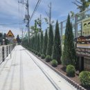 대흥중학교 이미지