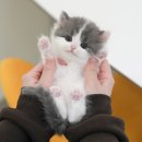 송이로14길 티스토리