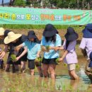 본량초등학교 이미지